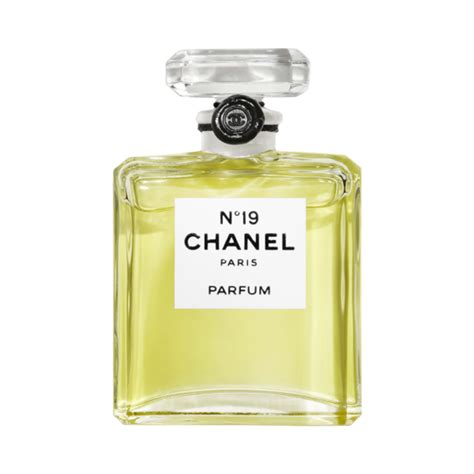 chanel nr 19 eau de parfum|is chanel no 19 discontinued.